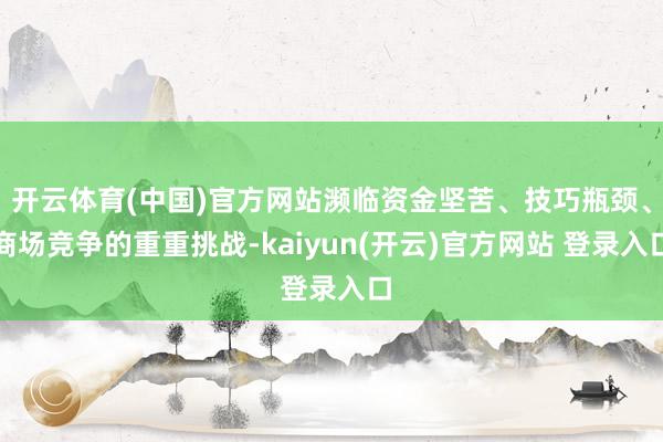 开云体育(中国)官方网站濒临资金坚苦、技巧瓶颈、商场竞争的重重挑战-kaiyun(开云)官方网站 登录入口